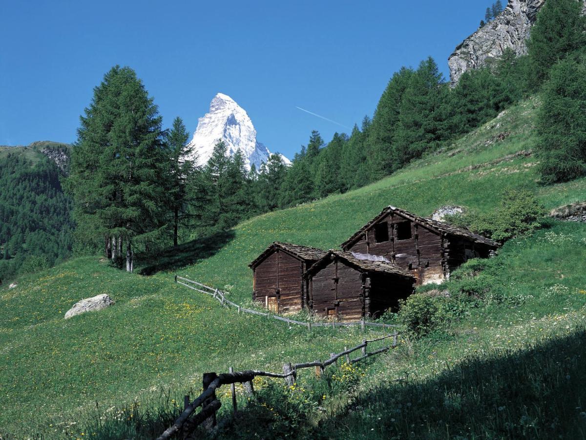 Apartment By Interhome Zermatt Eksteriør bilde